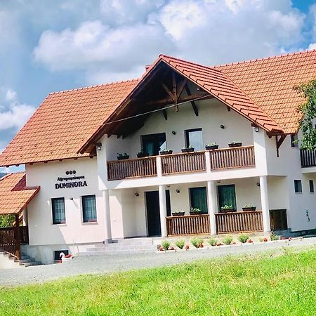 Agropensiunea Duminora Lăschia Exterior foto
